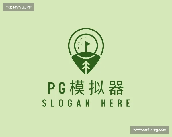 关于pg模拟器